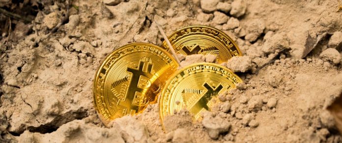 die in bitcoin investiert haben in einem monat weiblich werden