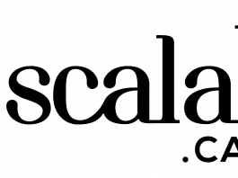 Scalable Capital: Milliarden-Bewertung, Tencent an Bord und neue Produkte in Sicht