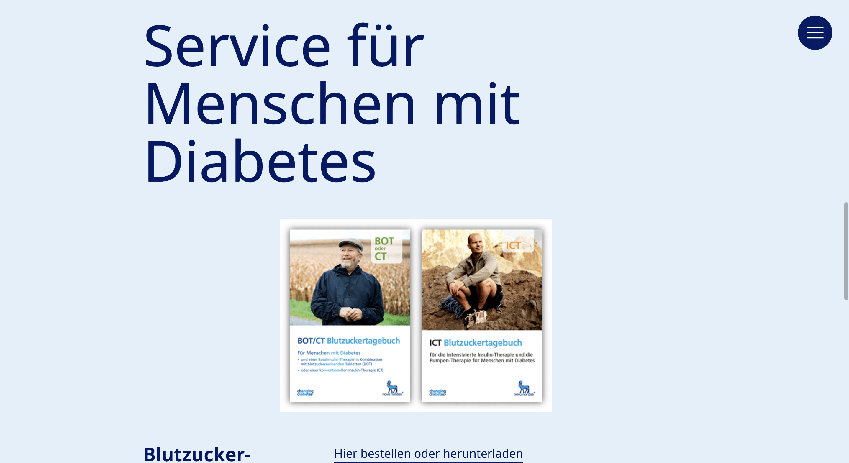 Novo nordisk sinnvoll