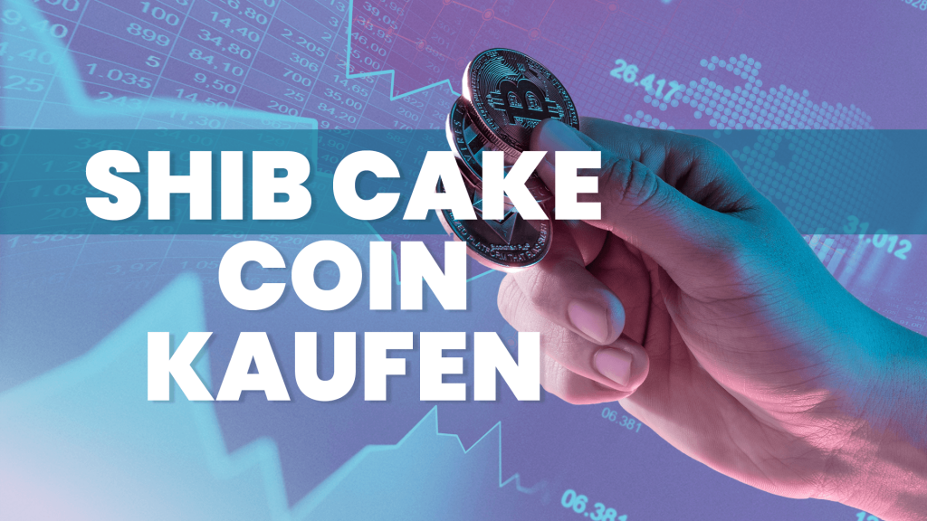 Shib Cake kaufen