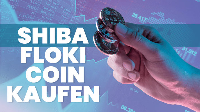 Shiba Floki Coin kaufen