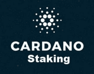 Cardano Staking Statistik