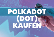 Polkadot kaufen