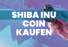 Shiba Inu Coin kaufen