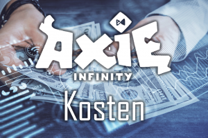 Axie-Infinity-Coin-Gebuehren-&--Kosten