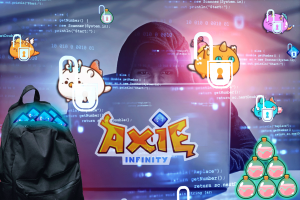 Sicherheit-der-Axie-Infinity-NFTS 