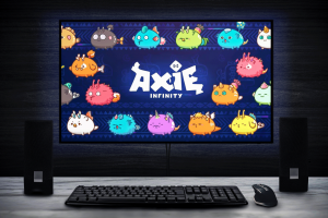 Unsere-Axie-Infinity-Coin-Erfahrungen-Die-Krypto-Gaming-Plattform-im-Test