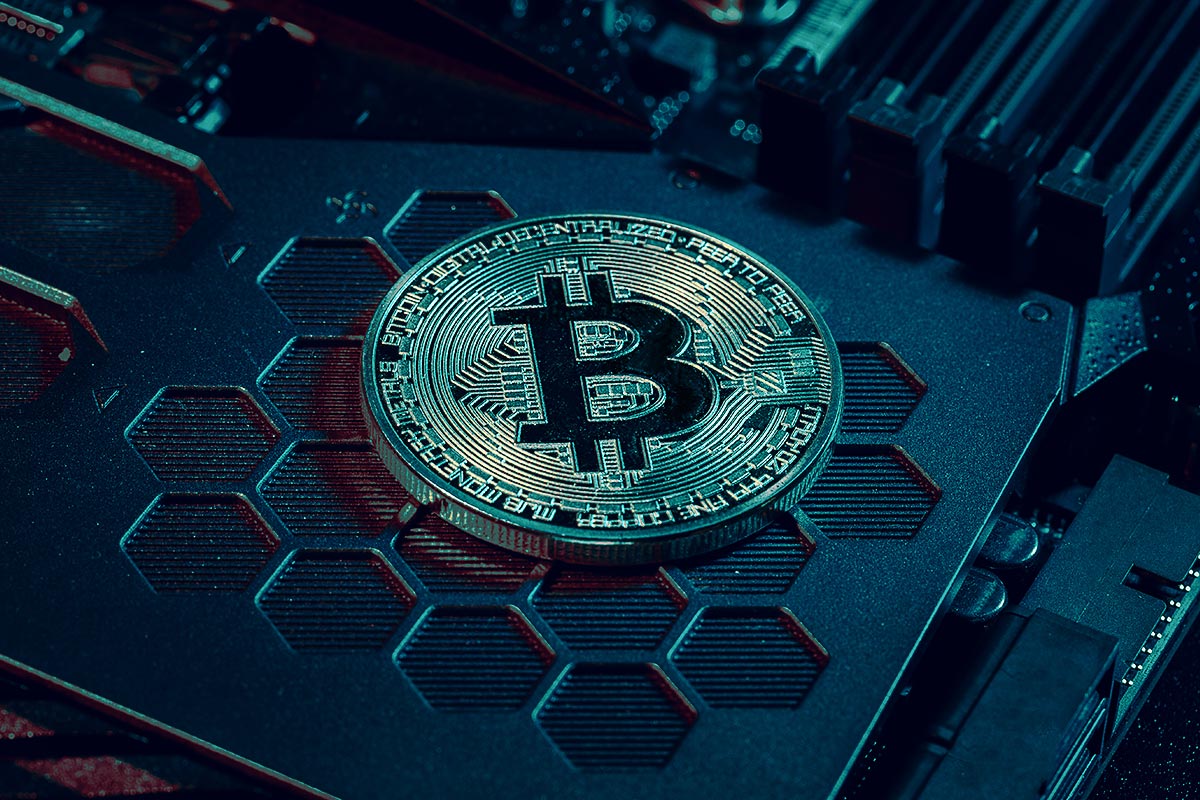 Krypto Wallet Vergleich - Die Besten Wallets im Test 2024