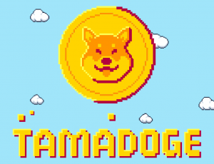 5 Gruende, warum Elon Musk’s Dogecoin-Investoren jetzt Tamadoge kaufen