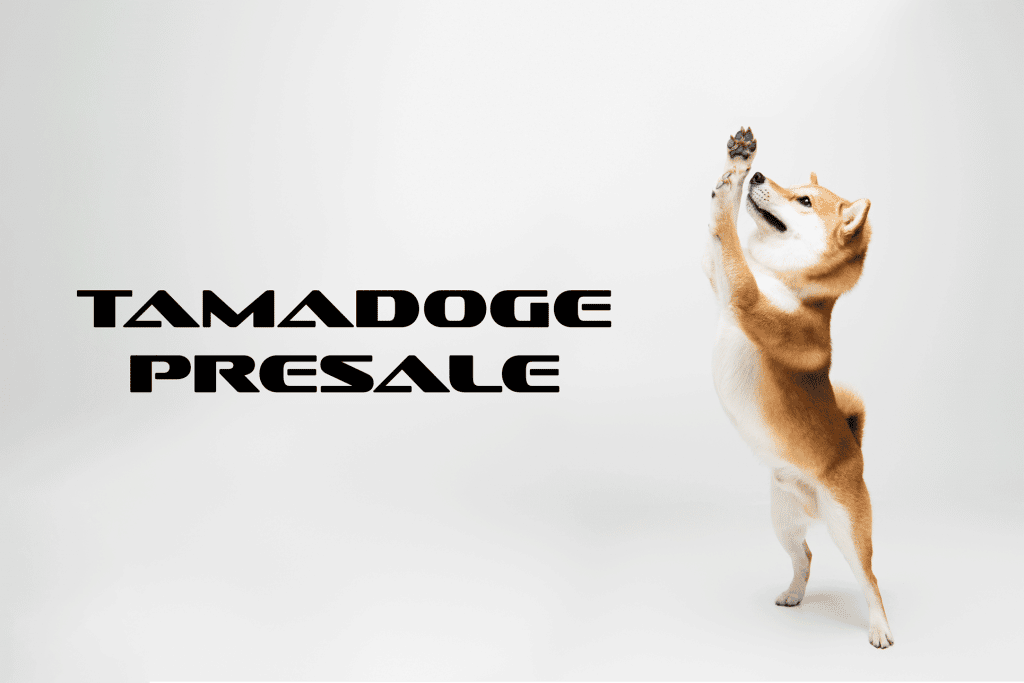 Tamadoge-Presale