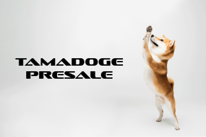 Tamadoge-Presale