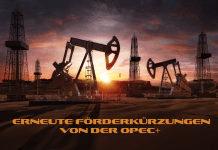 Verheerende-Effekte-durch-Förderungskürzung-der-OPEC-in-Energiekrise