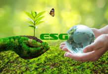 5-Geldanlagen-werden-die-Welt-revolutionieren---Nachhaltigkeit-ESG