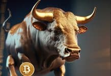 Bitcoin Bull