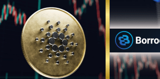 BorroeFinance